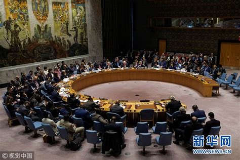 聯合國安理會就敘利亞問題召開緊急會議-新華網