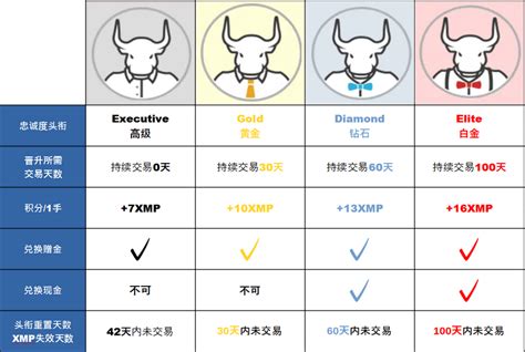 XM Tutorials 的图像结果