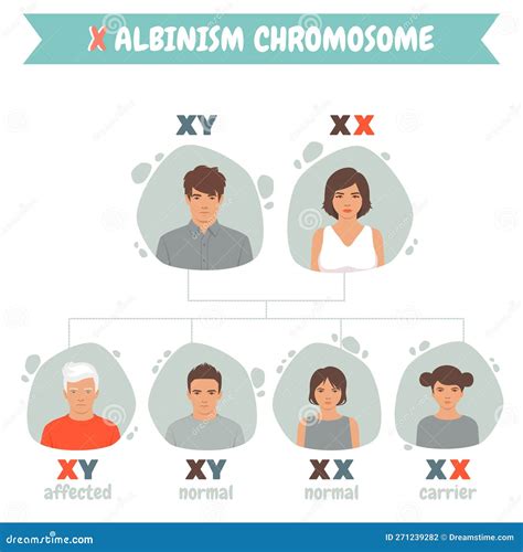 International Albinism Awareness Day. Albinism Chromosome.Genetic Rare ...