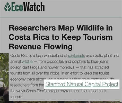 Image result for Backlinking