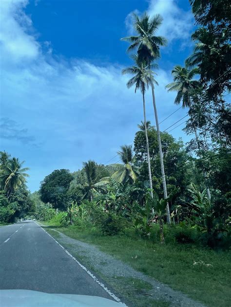 BLUE BLESS BEACH RESORT (Mati) - Cottage Reviews & Photos - Tripadvisor