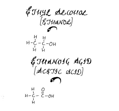 difference between ethanol and ethanoic acid - Brainly.in