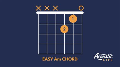 Image result for AM Tutorials for Beginners