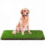 Top 3 Home Depot Battery Lawn Mowers of 2023 - Best Reviews Guide