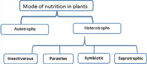 Class 7 Science Chapter 1 Question Answers - Nutrition in Plants