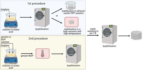 Effect of Selected Crosslinking and Stabilization Methods on the ...