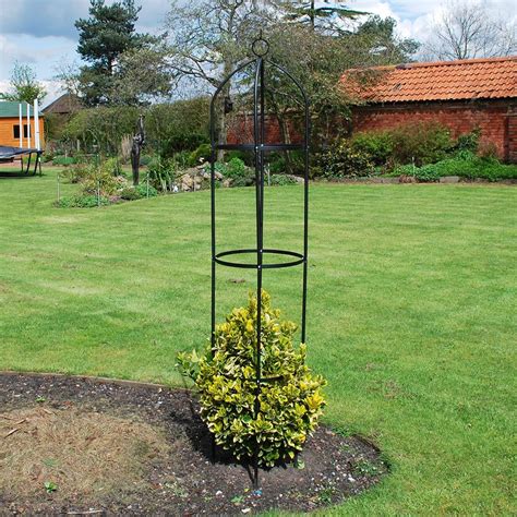 Buy Garden obelisk - black: Delivery by Waitrose Garden
