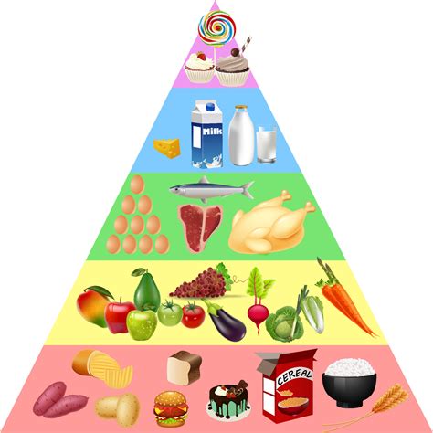 Image result for Food Pyramid Menu Pattern