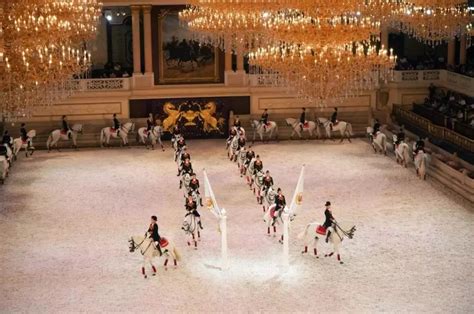 马鞍下盛装舞步比赛中一匹运动马的肖像未知参赛者在室内骑马场参加高清图片下载-正版图片506115475-摄图网