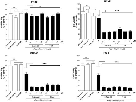 Targeting of the Interleukin-13 Receptor (IL-13R)α2 Expressing Prostate ...