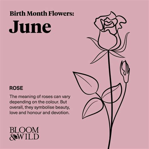 july birth flower rose