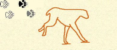 Image result for Gallop Step Pattern