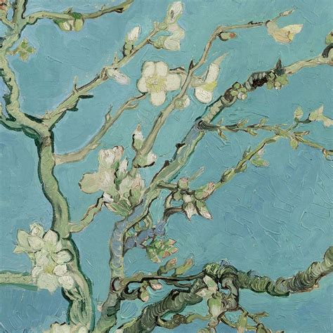 [100+] Van Gogh Almond Blossoms Wallpapers | Wallpapers.com