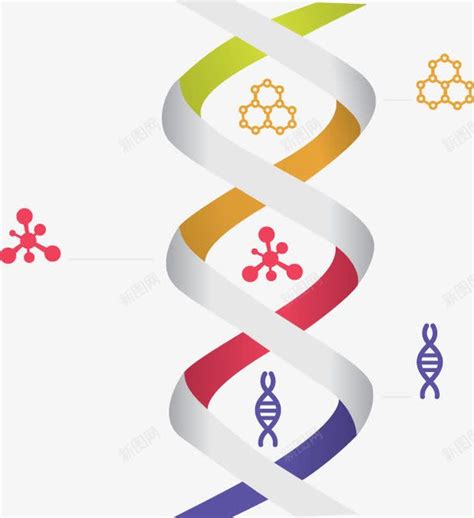 DNA分子的结构_哔哩哔哩_bilibili
