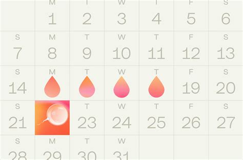 If I Get a UTI, Will It Delay My Period?