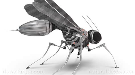 Robot Insect 的图像结果