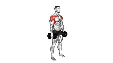 Dumbbell Front & Lateral Raise: Video Guide & Tips