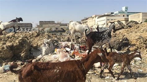 Pakistan works to clean up Karachi, once world's 'most dangerous city ...