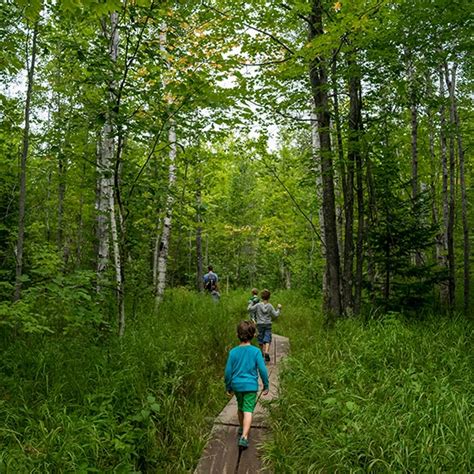 Godrej Plots Vadodara, Gujarat, Price, Godrej Heritage Estate