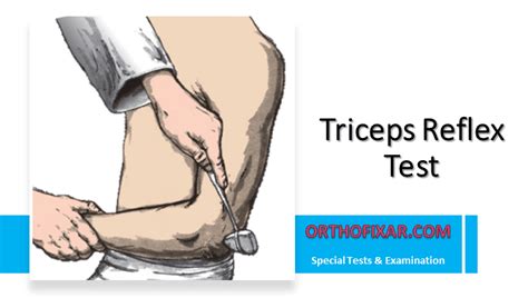 Image result for Testing Triceps