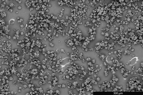 Graphite Paper Nature Journal 的图像结果