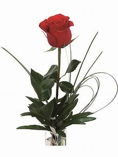 fiori per una donna una rosa rossa da regalare ad una donna speciale fiori per una donna una rosa rossa da regalare ad una donna speciale