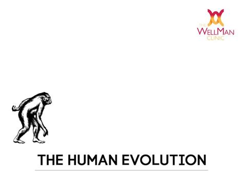 Image result for Evolution Animation