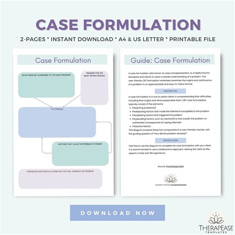 Image result for Case Formulation Example Social Work