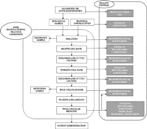 Bildergebnis für cell manufacturing process