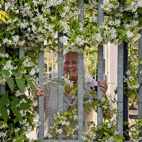 Frances "Francie" Rae Hammond | Clearview Cremation