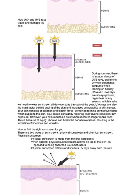 How Does Sunscreen Work 的图像结果