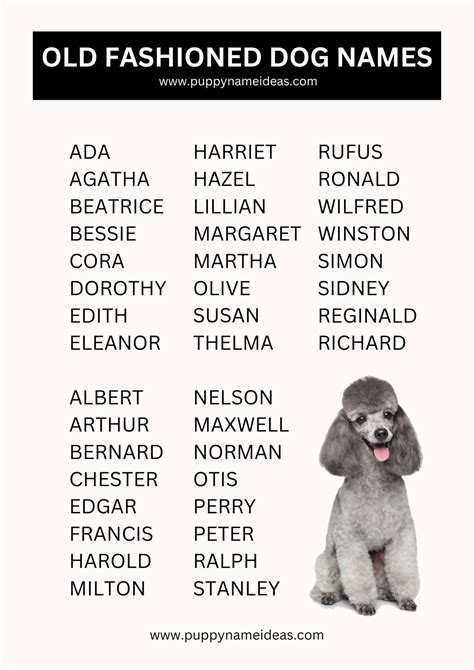 150+ Old Fashioned Dog Names - Puppy Name Ideas