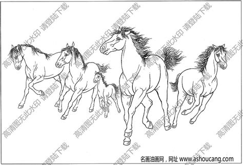骏马简笔画 的图像结果