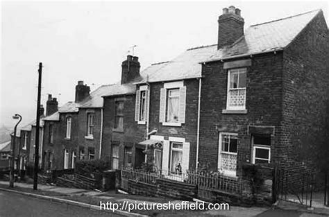 Searching Picture Sheffield