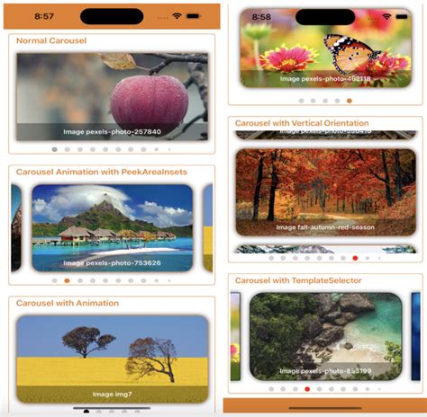 Image result for Xamarin.Android Carousel View