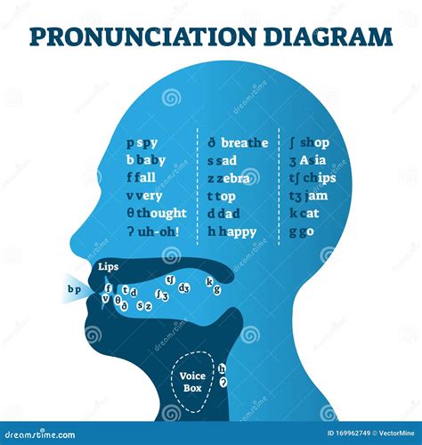 Pronunciation Diagram Chart with Letters and Corresponding Sounds ...