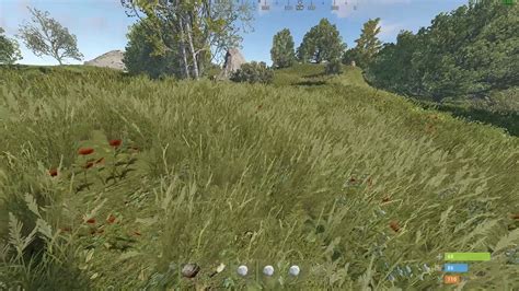 Image result for Rust Shadow