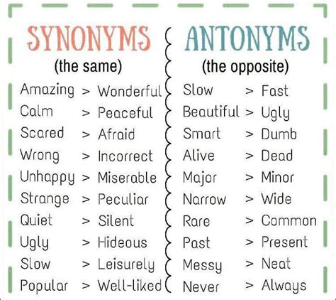 Pin de Montse Menchon em English | Vocabulário em inglês, Idioma inglês ...