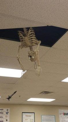 Image result for Ceiling Skeleton