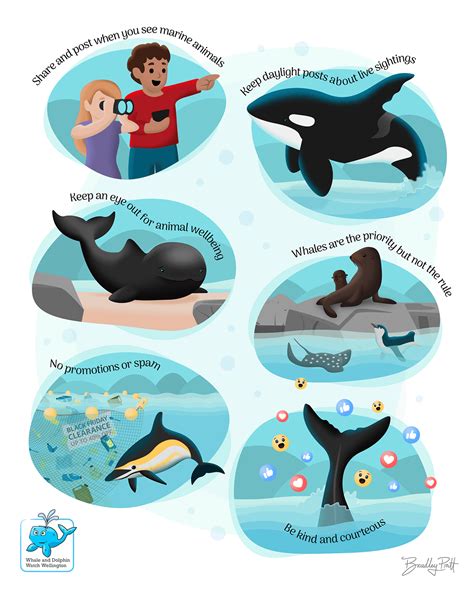 Image result for Dolphin Partner Optimization Algorithm