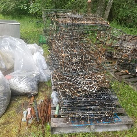 Washington Marine Debris Newsletter