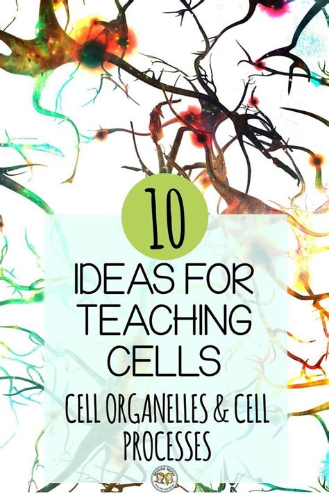 Image result for Cells Tutorial