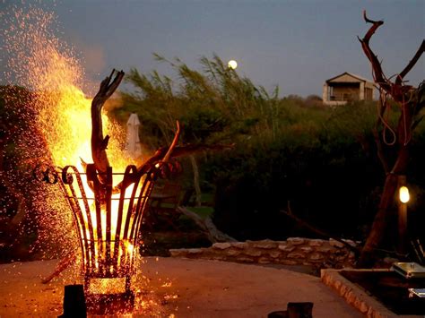 Thali Thali Game Lodge: A Self-Catering Wildlife Retreat on The Cape ...