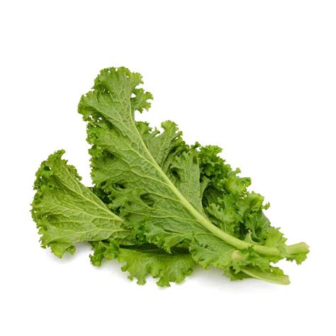 Fresh Sarson Ka Saag (Mustard Leaves), 500 grams : Amazon.in: Grocery ...