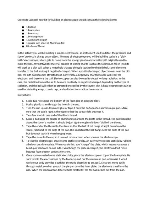 Image result for Electroscope Activity