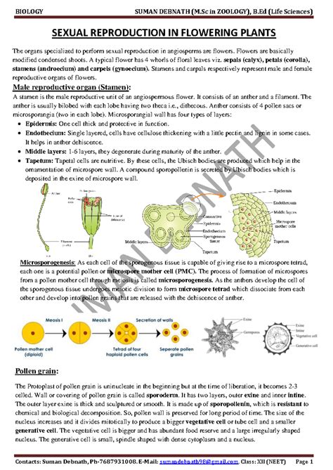 2 Sexual Reproduction in flowering plants - SEXUAL REPRODUCTION IN ...