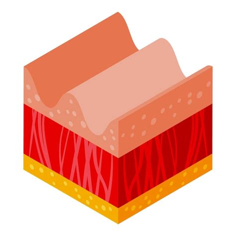 Old skin icon isometric vector molecule cell age protein | Premium Vector