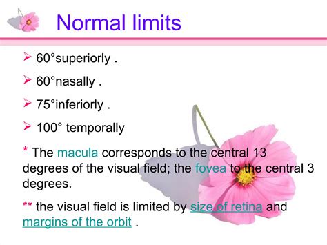 Image result for Visual Field Image Meaning