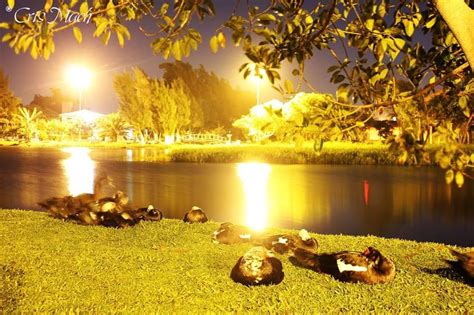 THE 10 BEST Places to Visit in Imbe (2026) - Must-See Attractions