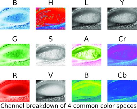 8 Dimensional Color Space 的图像结果